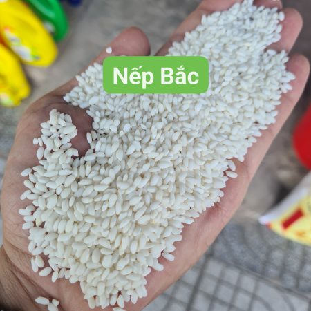 Gạo nếp Cái Hoa Vàng (Nếp Bắc)