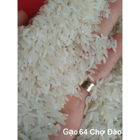 Gạo 64 chợ đào