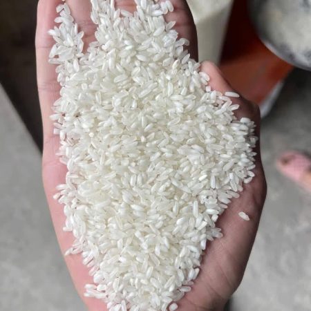 Gạo Trắng Nở Xốp Thông Dụng