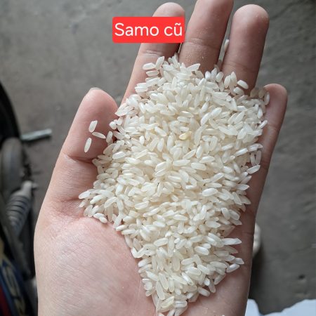 Gạo Sa Mơ