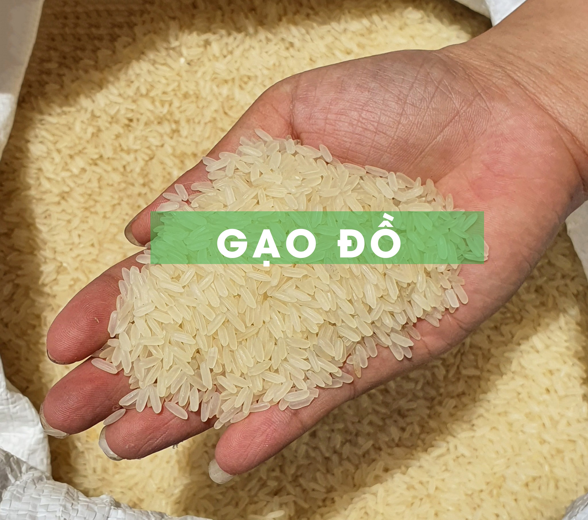 Gạo Đồ Giá Rẻ Tại TPHCM