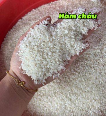 Gạo Hàm Châu giá rẻ