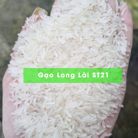 Gạo Long Lài ST21