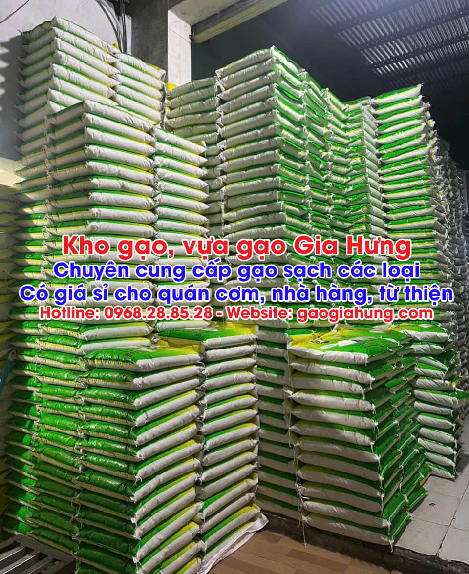 Kho Gạo Gia Hưng: Nguồn cung cấp Gạo từ thiện giá rẻ tại tphcm