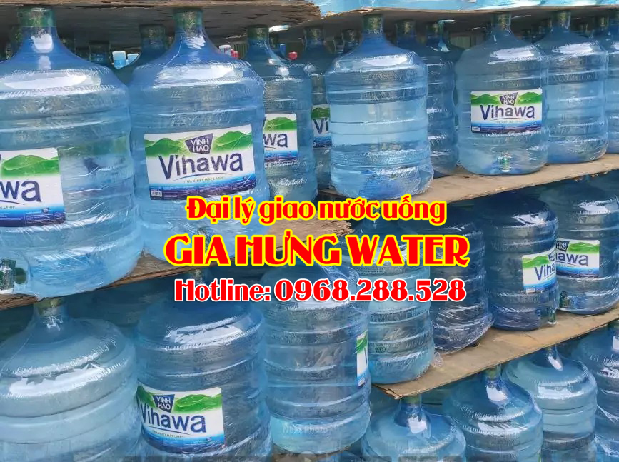 Đổi nước Vihawa gần đây tại TPHCM - Gia Hưng Water